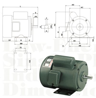 Low-Energy Single-Phase Induction Motor 1