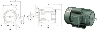 Low-Energy Single-Phase Induction Motor 3